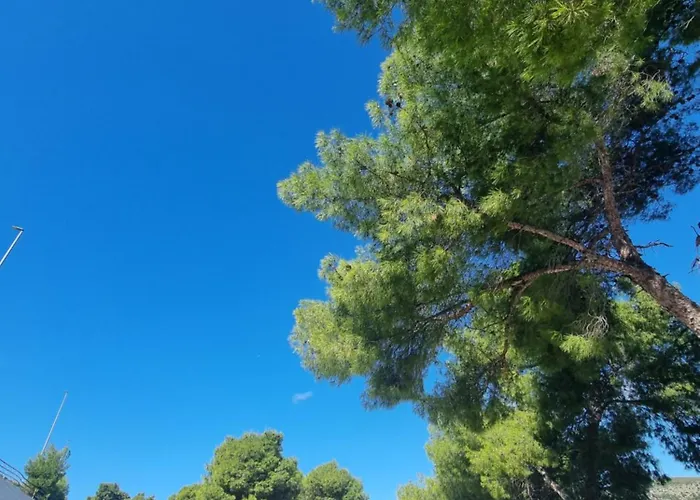 Mokka Charming Sea View